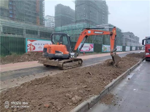 阜陽市潁泉區(qū)循環(huán)園區(qū)路網PPP項目新建道路綠化工程